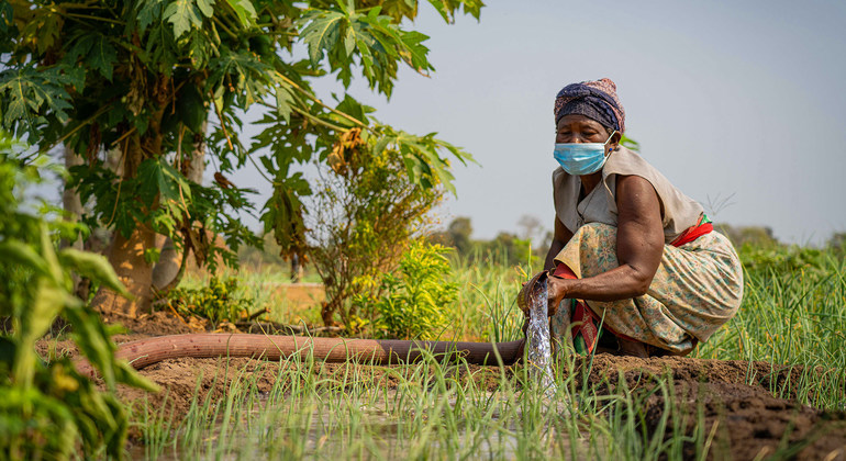 Business leaders join UN chief to step up action for sustainability  | UN News – SDGs