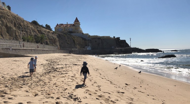 Portuguese beaches lead the way during UN, EU clean-up campaign  | UN News – SDGs