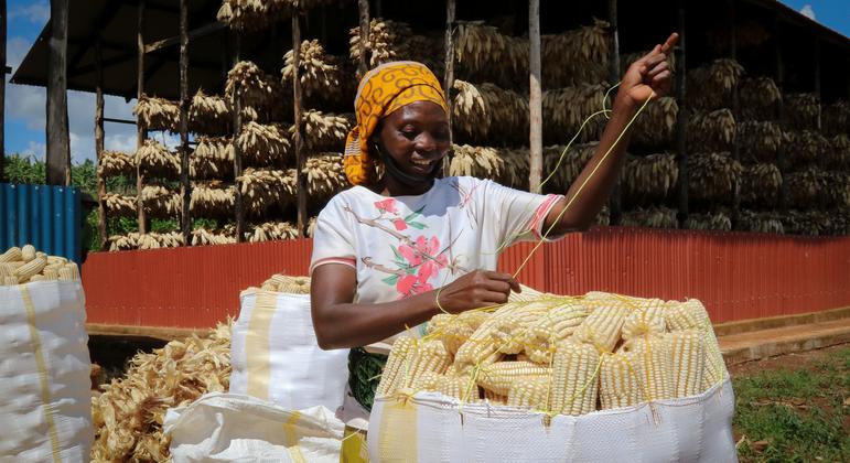 WFP-backed challenge boosts food system in Rwanda and beyond | UN News – SDGs