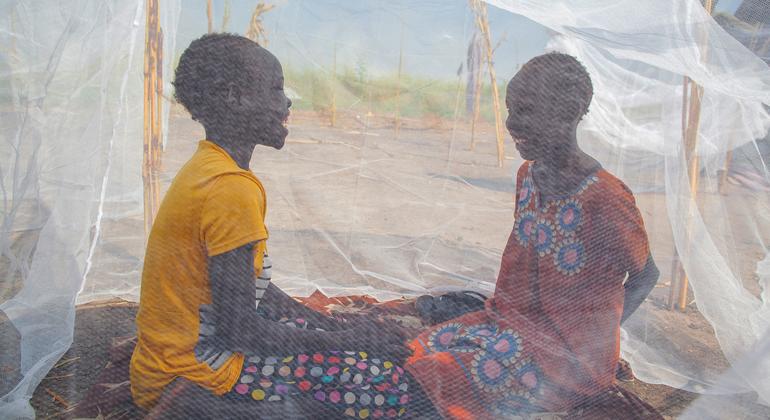 Working towards a malaria-free world | UN News – SDGs