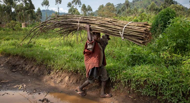 ‘We cannot rest’ until child labour is eliminated, ILO chief tells UN conference | UN News – SDGs