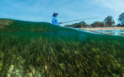 Sustainable blue economy vital for small countries and coastal populations | UN News – SDGs