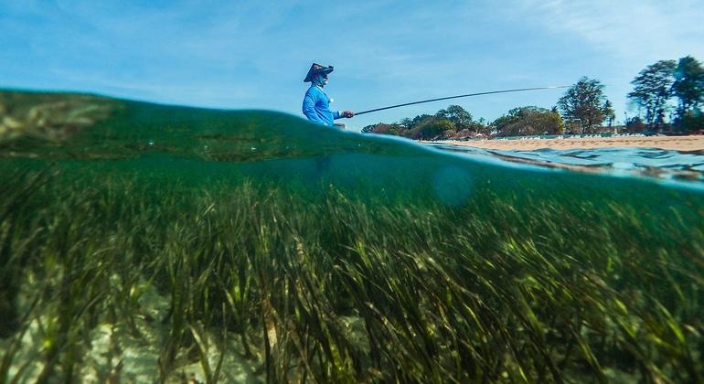 Sustainable blue economy vital for small countries and coastal populations | UN News – SDGs