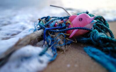 Tackling marine pollution: Individual action, key to ocean restoration | UN News – SDGs
