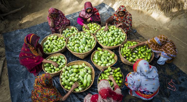 World Food Safety Day highlights need to improve health, prevent foodborne risks  | UN News – Global perspective Human stories