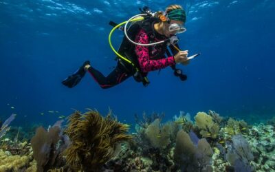Scientific knowledge essential for sustainable oceans, UN Ocean Conference hears | UN News – SDGs