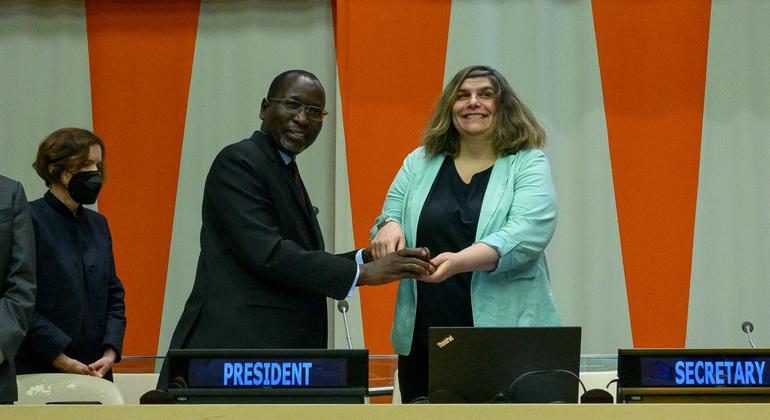 New ECOSOC President aims to ease crises which have ‘engulfed our societies’ | UN News – SDGs