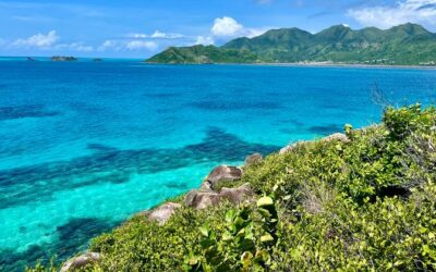After the storm: what an environmental tragedy can teach us about climate resilience and ecosystem restoration | UN News – SDGs