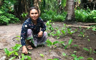 UN spotlights transformational potential of family farming for world food supply | UN News – SDGs