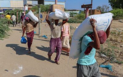World food prices drop for fifth consecutive month: FAO | UN News – SDGs