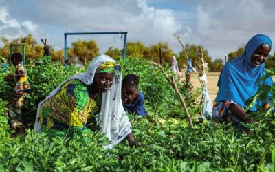 ‘Solutions lie in solidarity’ UN chief says on South-South Cooperation Day | UN News – SDGs