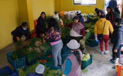 Peru’s food crisis grows amid soaring prices and poverty: FAO | UN News – Global perspective Human stories
