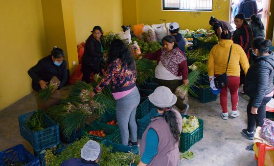 Peru’s food crisis grows amid soaring prices and poverty: FAO | UN News – Global perspective Human stories