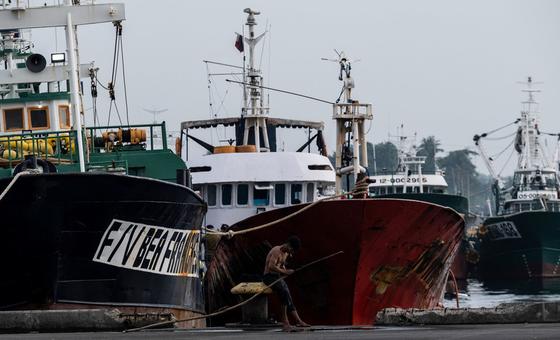 New milestone in battle against illegal, unregulated fishing | UN News – Global perspective Human stories