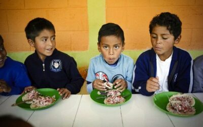 Latin America, Caribbean ‘must step up’ to tackle rising hunger: FAO | UN News – Global perspective Human stories