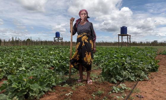 Transforming how we eat, ‘a critical accelerator’ towards 2030 development goals: Deputy UN chief | UN News – Global perspective Human stories