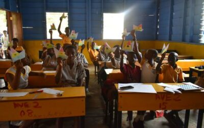 Origami hummingbirds to make a splash at UN Water Conference | UN News – Global perspective Human stories
