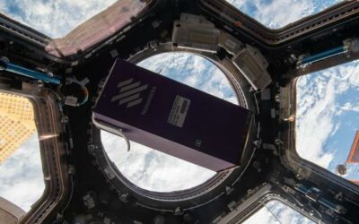 Cosmic crops poised for harvest on Earth | UN News – Global perspective Human stories