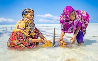 UN advisory board charts fresh path to better global governance | UN News – Global perspective Human stories