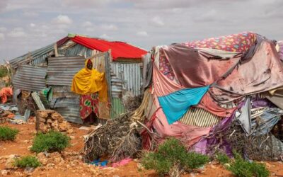 UN and partners seek $7 billion to prevent catastrophe in the Horn of Africa | UN News – Global perspective Human stories