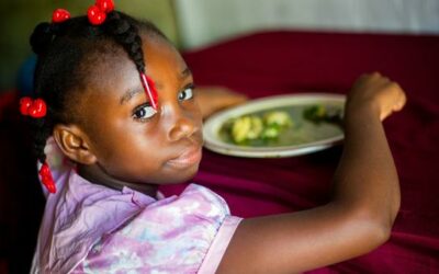 Nearly half of Haiti going hungry, new food security report warns | UN News – Global perspective Human stories