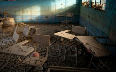First Person: Rising from disaster | UN News – Global perspective Human stories