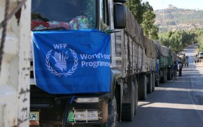 WFP plan aims to prevent further food aid diversion in Ethiopia | UN News – Global perspective Human stories