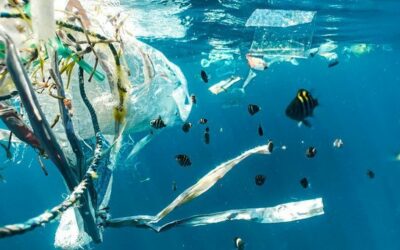 New UN ‘roadmap’ shows how to drastically slash plastic pollution | UN News – Global perspective Human stories