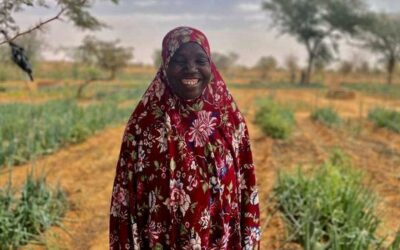 Combating drought, one garden at a time | UN News – Global perspective Human stories