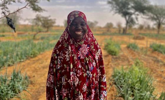 Combating drought, one garden at a time | UN News – Global perspective Human stories