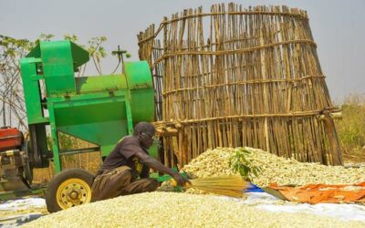 Transforming food systems, key to get SDGs back on track: Mohammed | UN News – Global perspective Human stories