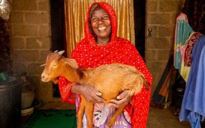 Halfway there: 5 ways the UN is turbocharging the race to the SDGs | UN News – Global perspective Human stories