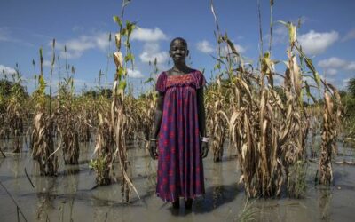 Hunger afflicts one in ten globally, UN report finds | UN News – Global perspective Human stories