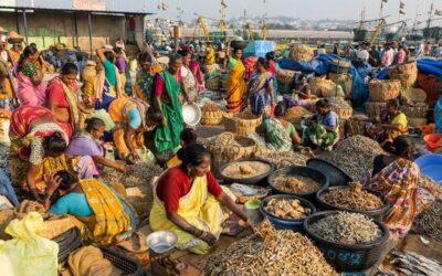 Global food systems ‘broken’, says UN chief, urging transformation in how we produce, consume food | UN News – Global perspective Human stories