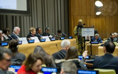 Winners of 2023 UN Human Rights Prize Announced | UN News – Global perspective Human stories