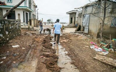First Person: Rising above floods in Viet Nam | UN News – Global perspective Human stories