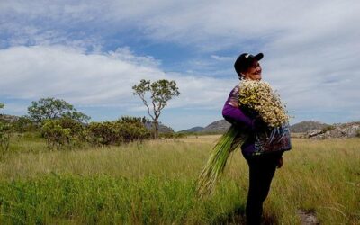 In Brazil, UN deputy chief urges greater ambition for Global Goals | UN News – Global perspective Human stories