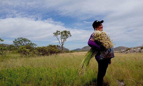 In Brazil, UN deputy chief urges greater ambition for Global Goals | UN News – Global perspective Human stories