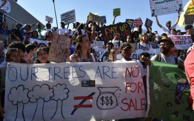 As record warming tests climate goals, young people’s ‘green skills’ may help save the planet | UN News – Global perspective Human stories