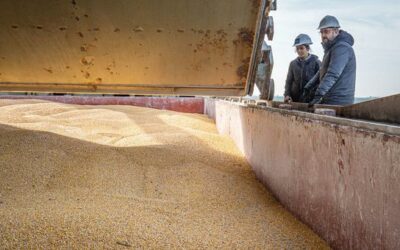 Black Sea deal collapse sparks rise in global food prices: FAO | UN News – Global perspective Human stories