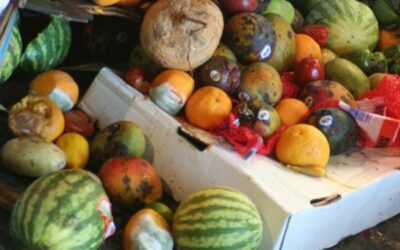 World News in Brief: Karabakh exodus continues, indigenous rights, UN steps up bid to curb food waste | UN News – Global perspective Human stories