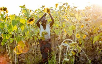How the UN SDG Summit aims to transform the world | UN News – Global perspective Human stories