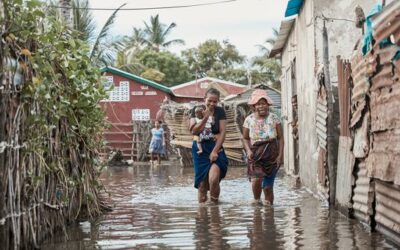 Climate inaction puts lives on the line: WMO | UN News – Global perspective Human stories