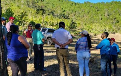 First Person: How youth and forests tackle Honduras’ water crisis | UN News – Global perspective Human stories