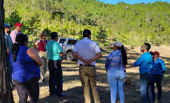 First Person: How youth and forests tackle Honduras’ water crisis | UN News – Global perspective Human stories