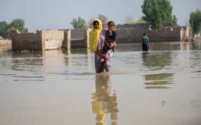 COP28: The climate crisis is also a health crisis | UN News – Global perspective Human stories
