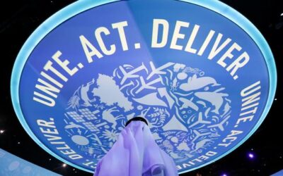 COP28: Tuesday’s climate action in Dubai | UN News – Global perspective Human stories