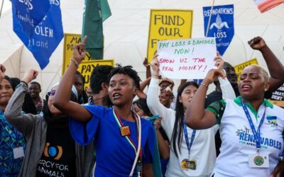 COP28 in Dubai enters final week, negotiations ahead on emissions cuts, fossil fuels | UN News – Global perspective Human stories