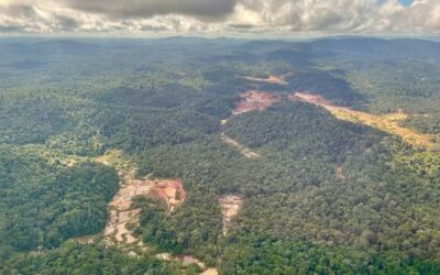 COP28: UN chief previews panel on management of minerals essential for green energy transition | UN News – Global perspective Human stories
