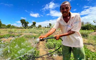 Madagascar: Coordination, convergence and change from the grass roots up | UN News – Global perspective Human stories